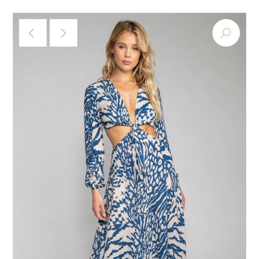 NWT Resa Noelle Maxi dress
